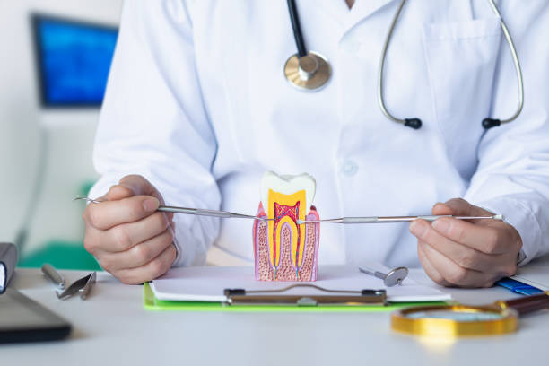 Best Emergency Broken Tooth Repair in Wilsons Mills, NC